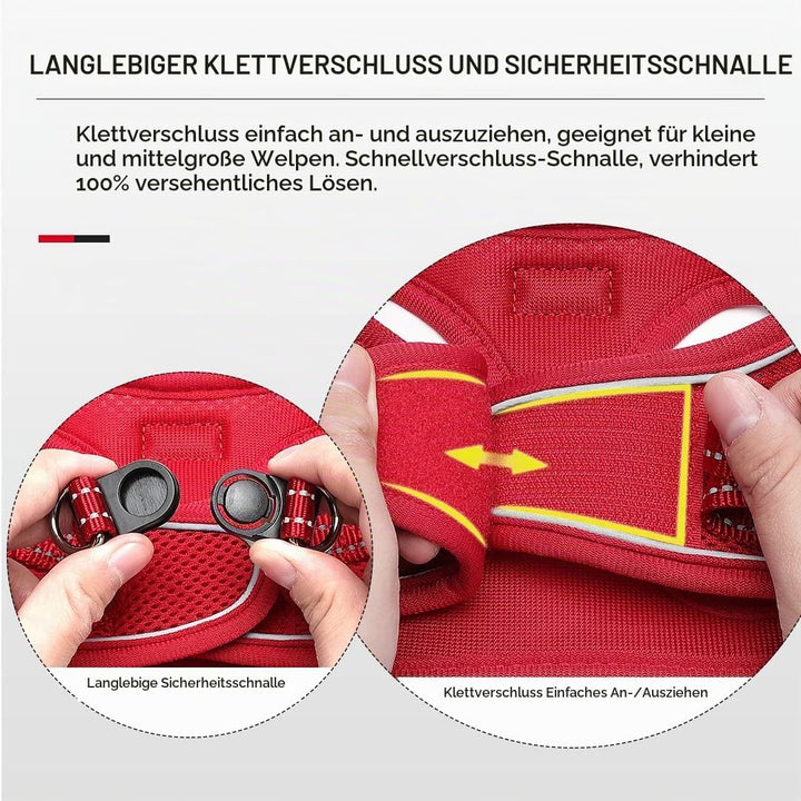 Suredoo Hundegeschirr mit Leine Anti Zug Geschirr Reflektierend Brustgeschirr für Kleine Hunde, Haus