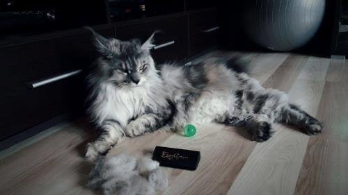 EzzyGroom Hundbürste Ezzy Katzenbürste Fellbürste Hit Fellpflege Hundekamm