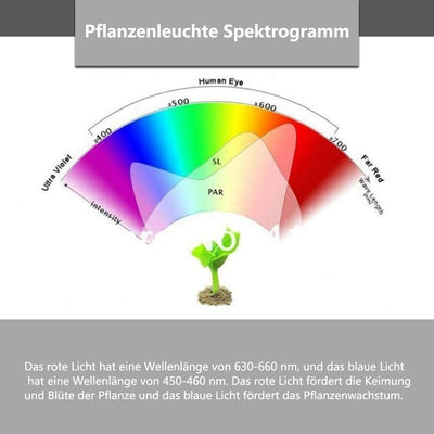 Lospitch Pflanzenlampe LED 45W ,LED Grow Lampe,Pflanzenleuchte mit Rot Blau Licht Vollspektrum, Pfla