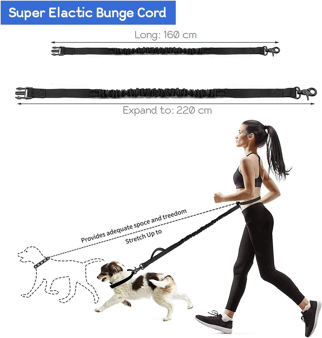 Edipets, Joggingleine Hunde, Freihändig, Laufen, Wandern, Gurtband, Anti-Stress, Reflektierend, 160-