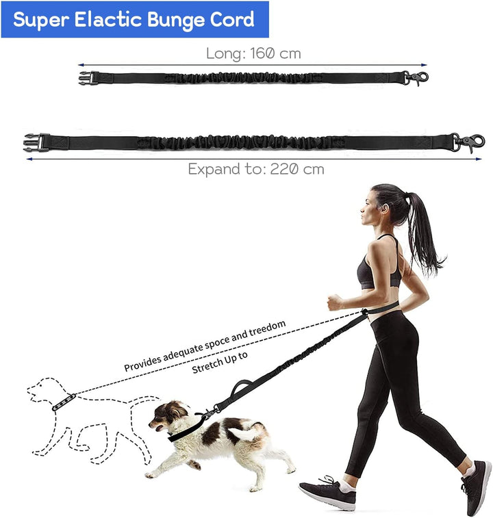 Edipets, Joggingleine Hunde, Freihändig, Laufen, Wandern, Gurtband, Anti-Stress, Reflektierend, 160-