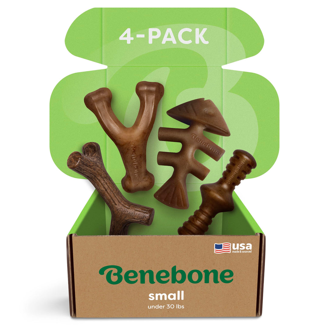 Benebone Unzerstörbare Geschenkbox mit Kauspielzeug für aggressive Kauer, inkl. Wishbone, Fishbone,