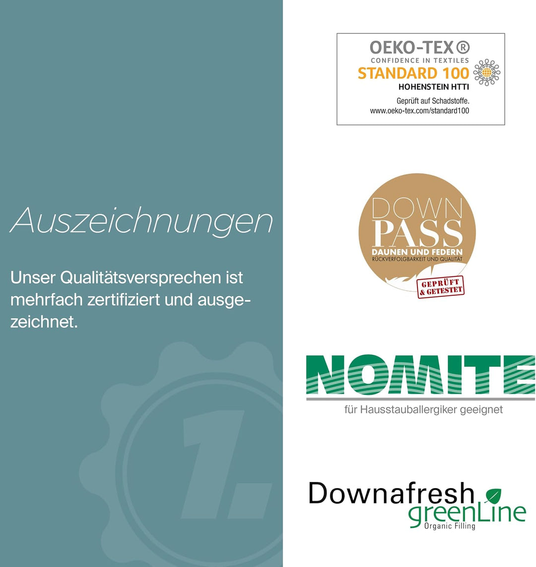 Daunenfee– Winter Cassettendecke 155x220cm, Daunen &amp; Federn – 3x4 Karos, 2cm Stege – Handarbeit Made