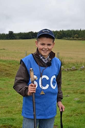 Logan Whistles Turbo massivem Messing Sheepdog Whistle, Whistle nur