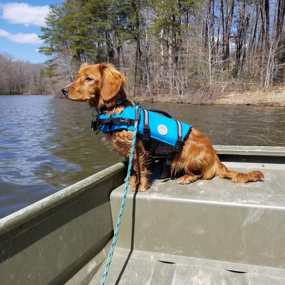 VIVAGLORY Ripstop Hunde Rettungsweste für Kleine Mittel Grosse Hunde Bootfahren, Hund Schwimmweste m