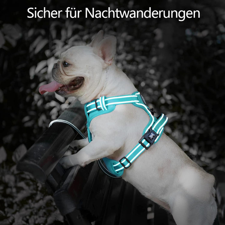PoyPet Hundegeschirr ohne Zug, Reflektierendes Hundegeschirr für mittelgrosse Hunde ohne Würgen, ver