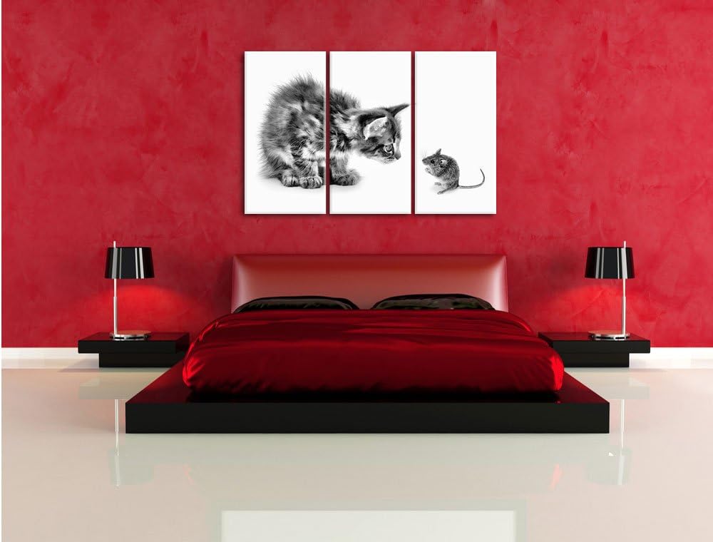 Pixxprint Katze und Maus Freunde als Leinwandbild/Grösse: 3 Teilig (120x80) cm/Wandbild/Kunstdruck/f