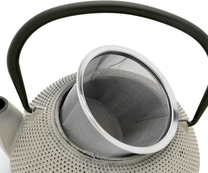 Bredemeijer Asia Teekanne Gusseisen Set 1.1 Liter - grauer Teekessel & Edelstahl-Filter-Einsatz für