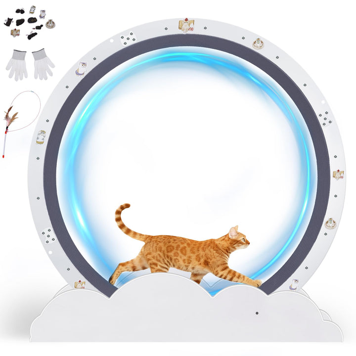 GTPLAYER Katzenlaufrad, laufrad Katze, Extra grosser 100 cm, ultraleises Laufrad mit Abnehmbarer Tep