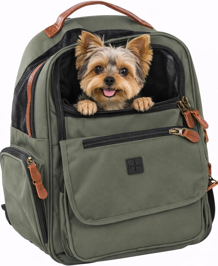 Hunderucksack - Rucksack Wiro Grün – 40x25x41cm – Polyester – verstärkte Rückenwand – Abnehmbarer Bo
