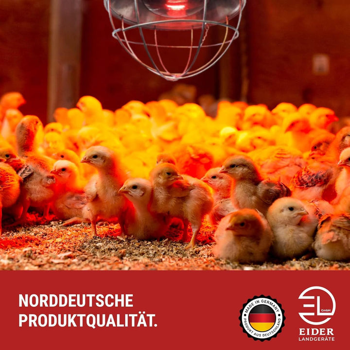 Koll Living Infrarot-Wärmestrahlgerät 150W mit/ohne Leuchtmittel, Kückenlampe, Schweinelampe (5,0 m