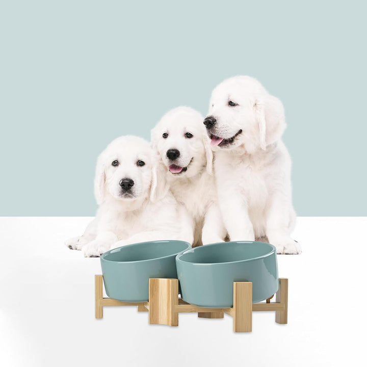 SPUNKYJUNKY 15° Kippbare Keramik Hundenapf mit Holzständer Futter und Wassernapf rutschfest für Hund