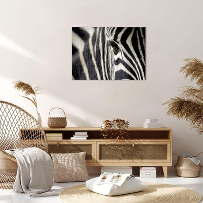 Bilder auf Leinwand Zebra Streifen Tierwelt Safari Leinwandbild 70x50cm Wandbilder Dekoration Wohnzi