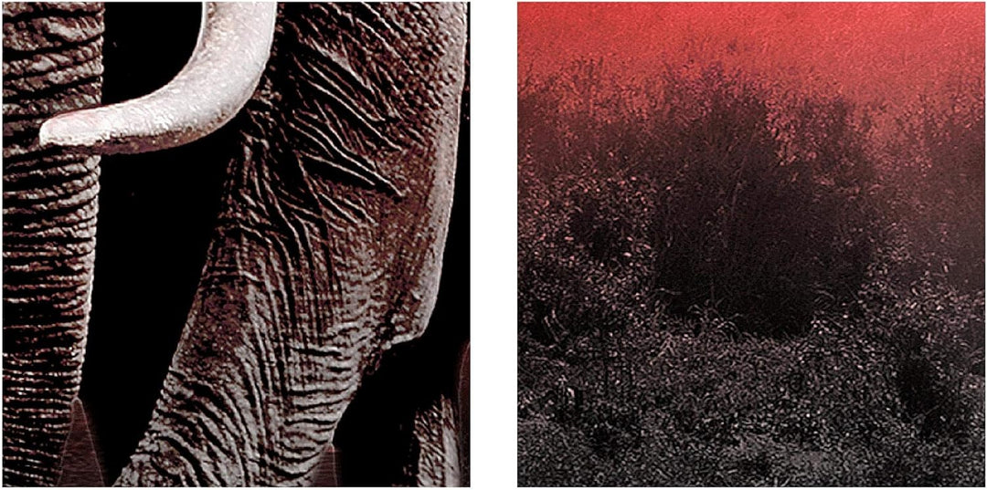 Runa Art Bild Wohnzimmer Schlafzimmer Afrika Elefant 5 Teilig Savanne Grau Rosa Wandbilder auf Vlies