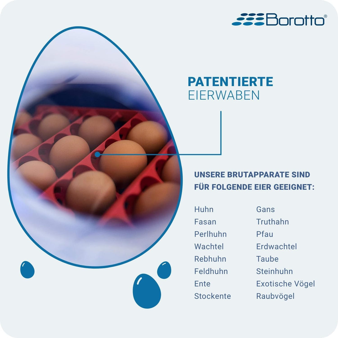Borotto Real 24 Inkubator, Vollautomatische Ei Wendung für 24 Eier oder 96 kleine Eier, mit Luftbefe