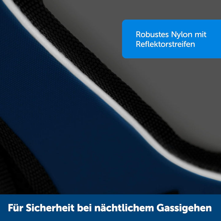 PetSafe EasySport Geschirr, Elastischer Halsausschnitt, Gepolsterter Griff, Für Hunde von 11,3 kg bi