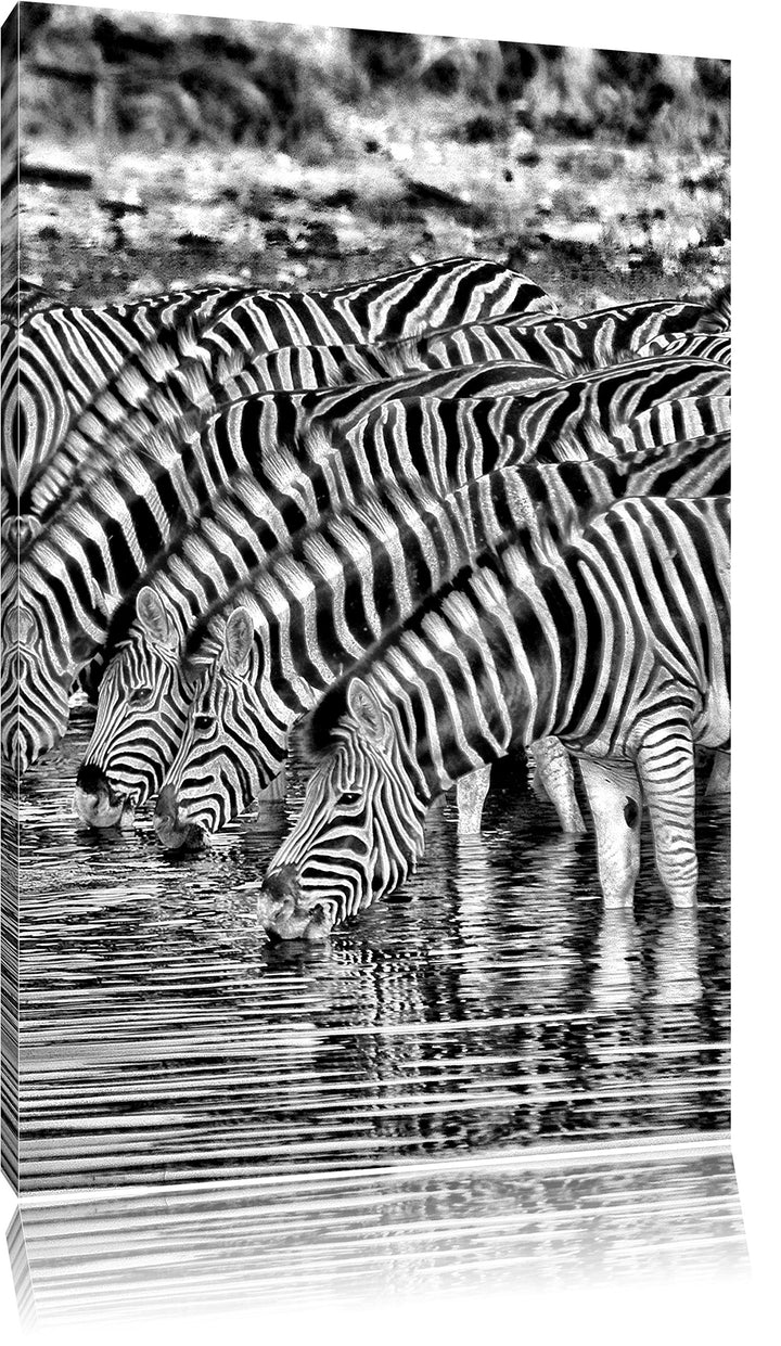 Safari mit Zebras in Afrika / 100x70cm Leinwandbild bespannt auf Holzrahmen/Wandbild Kunstdruck Deko