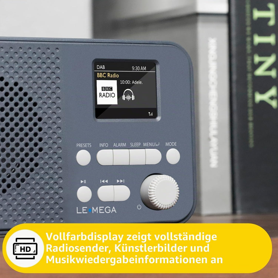LEMEGA DAB Go DAB+/UKW Radio,Bluetooth,Farbdisplay,AA-Batterie,Dunkelgrau | Digitalradio,Doppelalarm