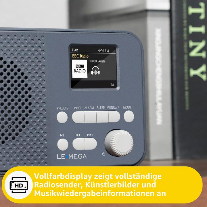 LEMEGA DAB Go DAB+/UKW Radio,Bluetooth,Farbdisplay,AA-Batterie,Dunkelgrau | Digitalradio,Doppelalarm