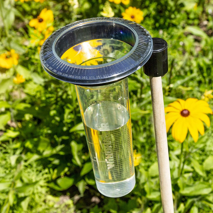Windhager Profi-Regenmesser mit Memoryfunktion, Niederschlagsmesser, Regenwassermessung, für Rasenau