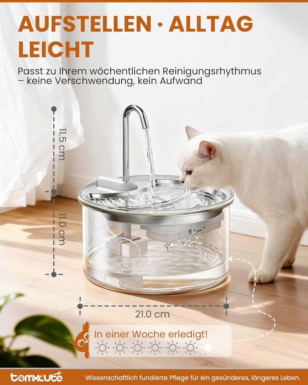 Tomxcute Katzenbrunnen Glas 2,5L – Trinkbrunnen Katze leise, für 1–2 Katzen, Stufen-Design, warmes L