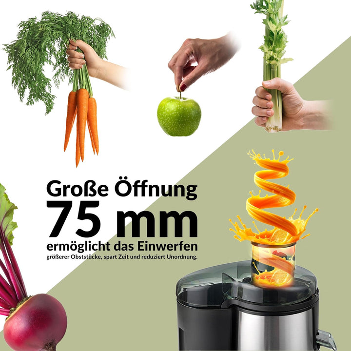 LEHMANN Entsafter, Schnelle Saftzubereitung, 2 Geschwindigkeitsstufen, elektrische Saftpresse aus Ed