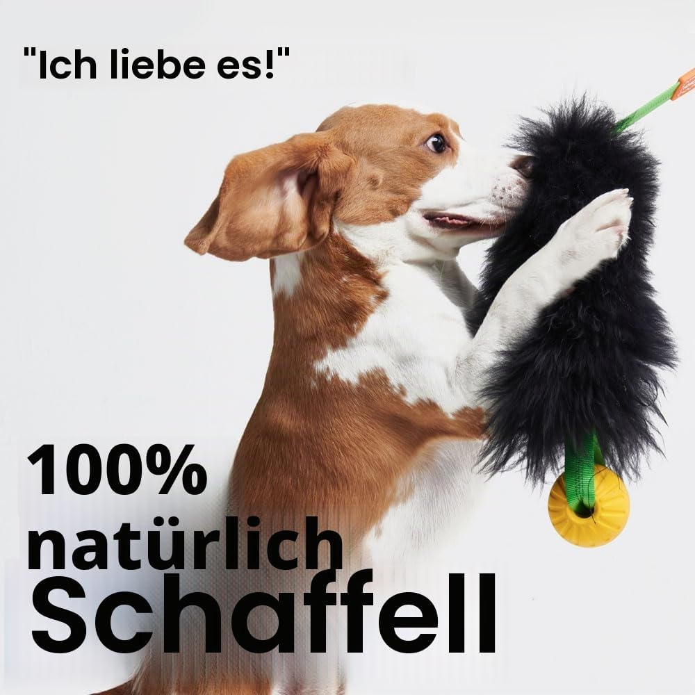 HOWGO Bungee-Chaser-Spielzeug für Hunde, 100% Schaffell, Bungee-Chaser-Spielzeug, Seil-Fogy, Zerrspi