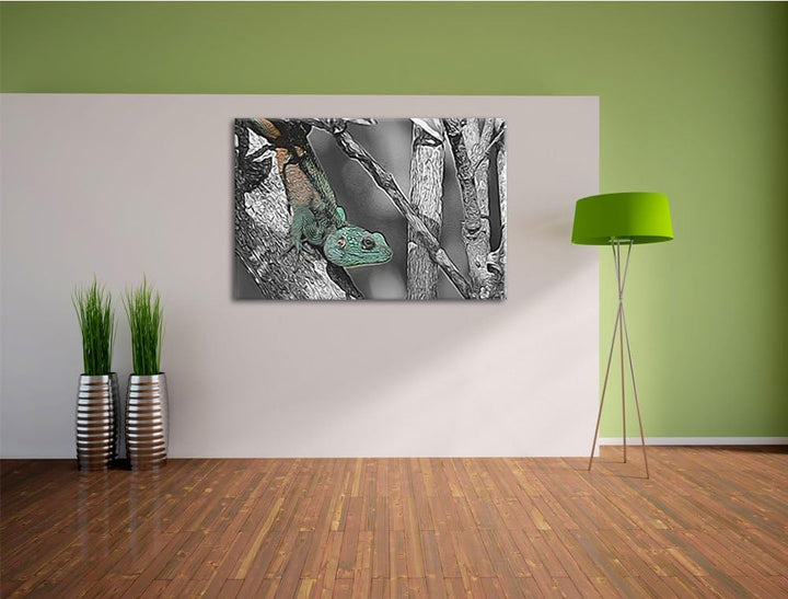 prächtiger Agama auf Baumast schwarz/weiss Deluxe Format: 100x70 cm auf Leinwand, XXL riesige Bilder