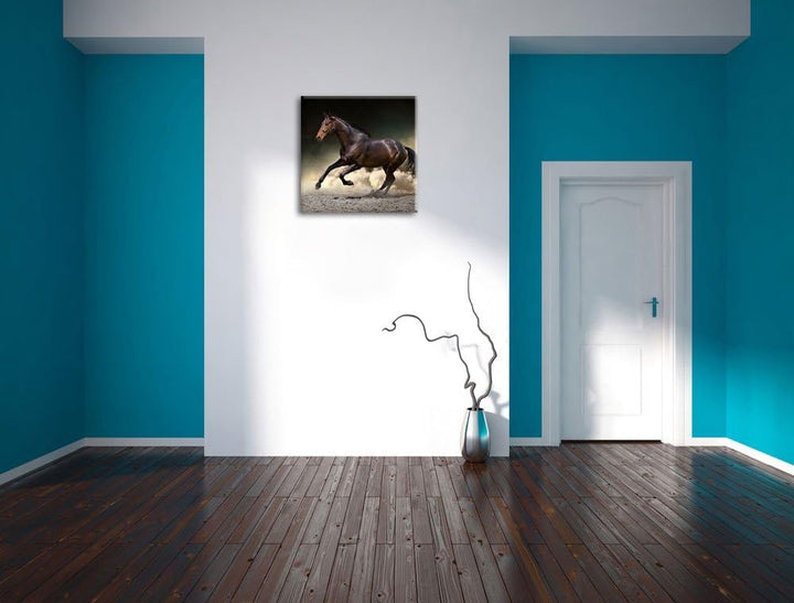 Anmutiges dunkles Pferd, Format: 70x70 auf Leinwand, XXL riesige Bilder fertig gerahmt mit Keilrahme