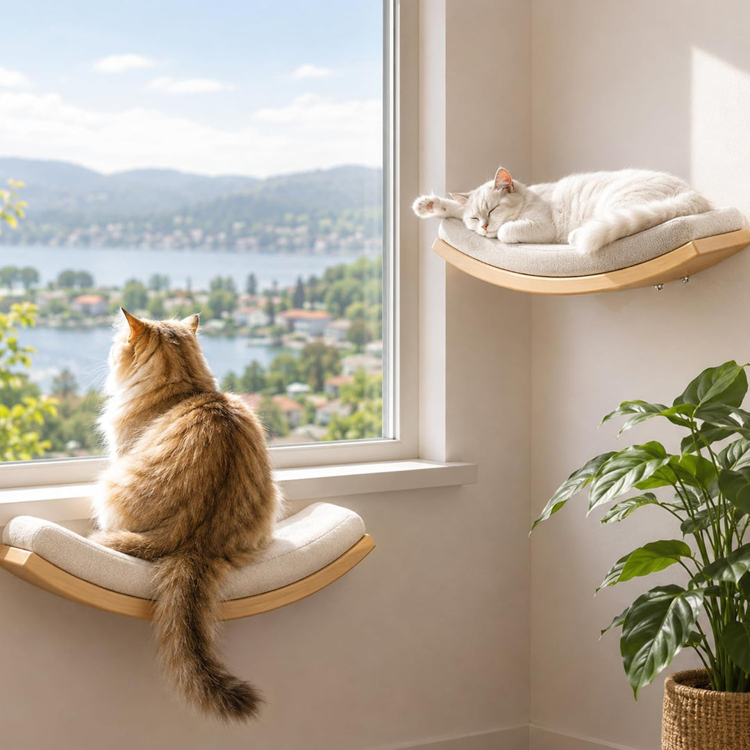 Katzen Kletterwand, Gebogenes Katzen-Wandregal mit Schaumstoffmatte, Wandmontiertes Massivholz Katze