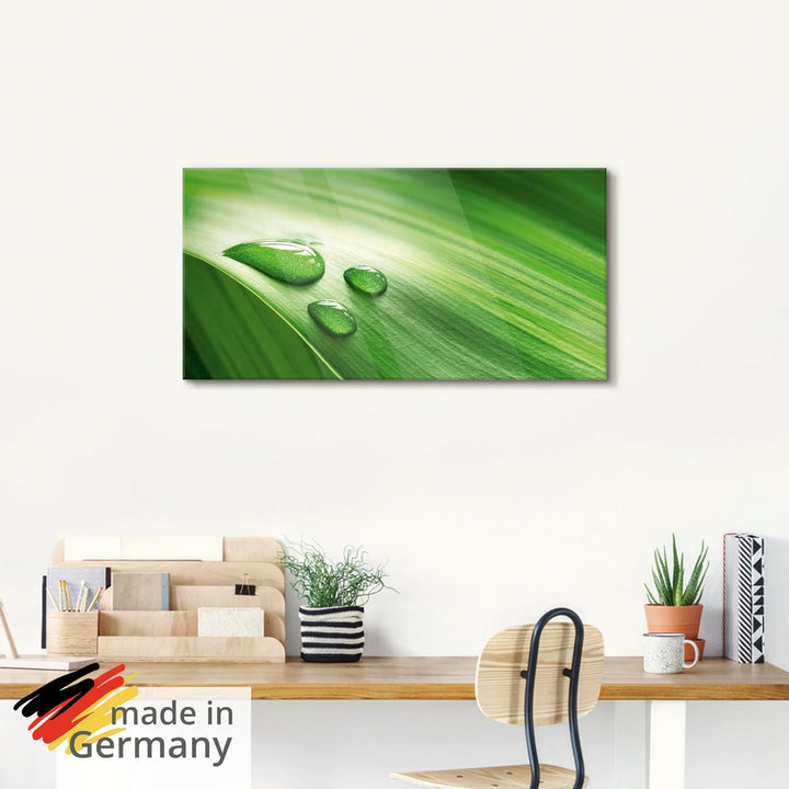 ARTland Glasbilder Wandbild Glas Bild einteilig 30x60 cm Hochformat Natur Pflanzen Blätter Wassertro