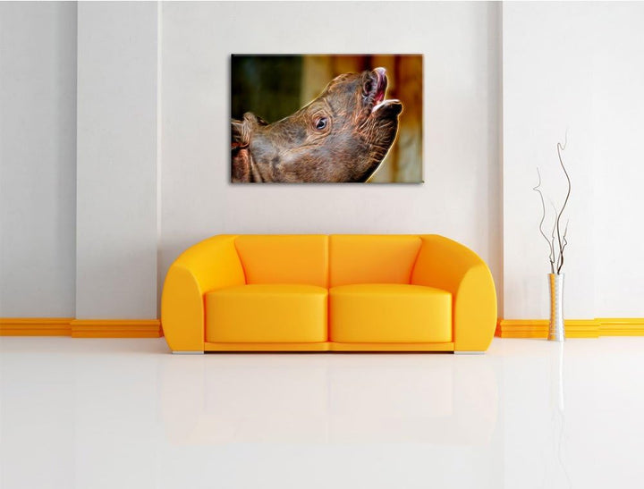 kleines Nashorn Deluxe Format: 100x70 cm auf Leinwand, XXL riesige Bilder fertig gerahmt mit Keilrah