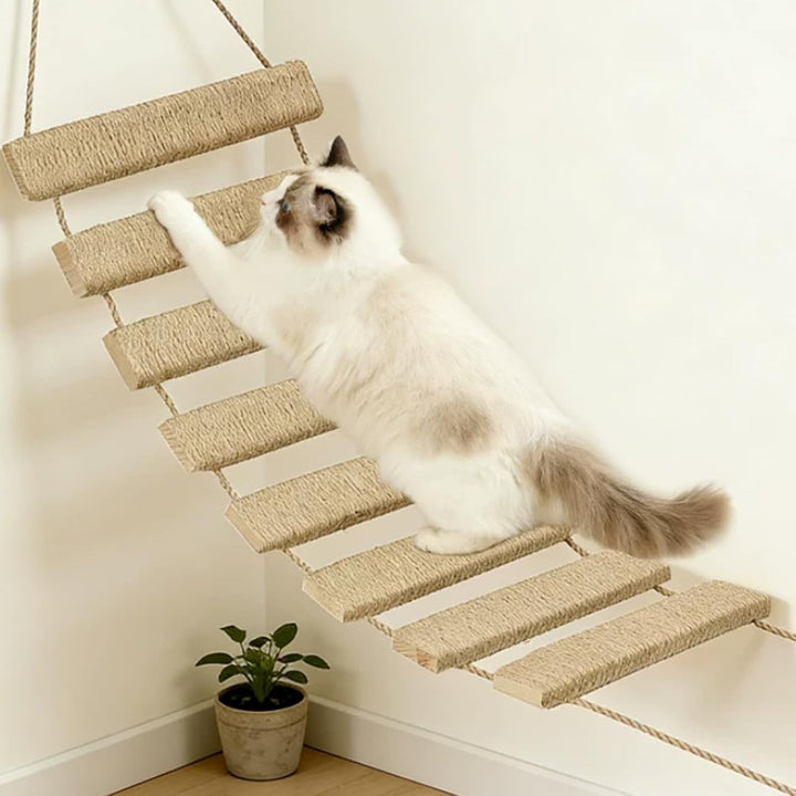 Katzenleiter 150 cm, 3-in-1 Katzenleiterbrücke Wand aus Holz &amp; Sisalseil | Katzenbrücke Wand Katzent