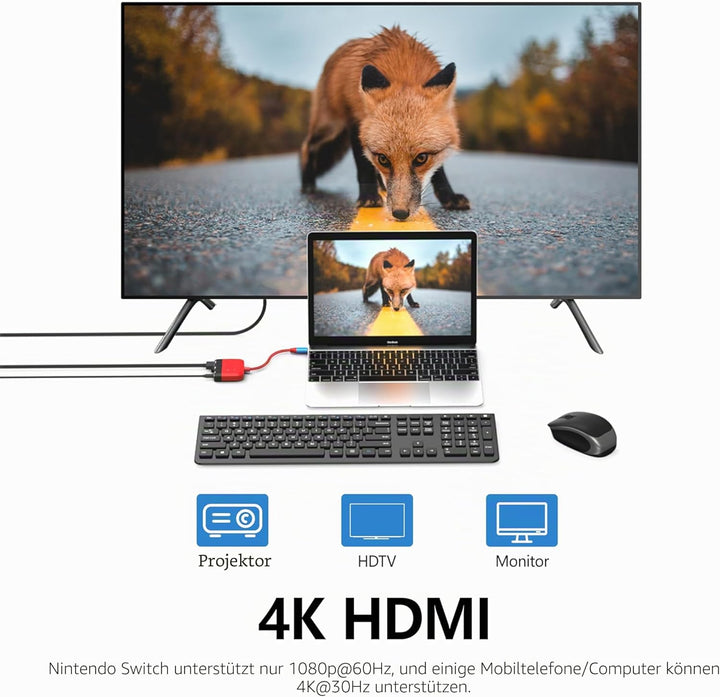 Switch Dock für Nintendo Switch/OLED Switch, 3-in-1 Mini Switch TV Dock mit 4K HDMI USB 3.0 Port USB