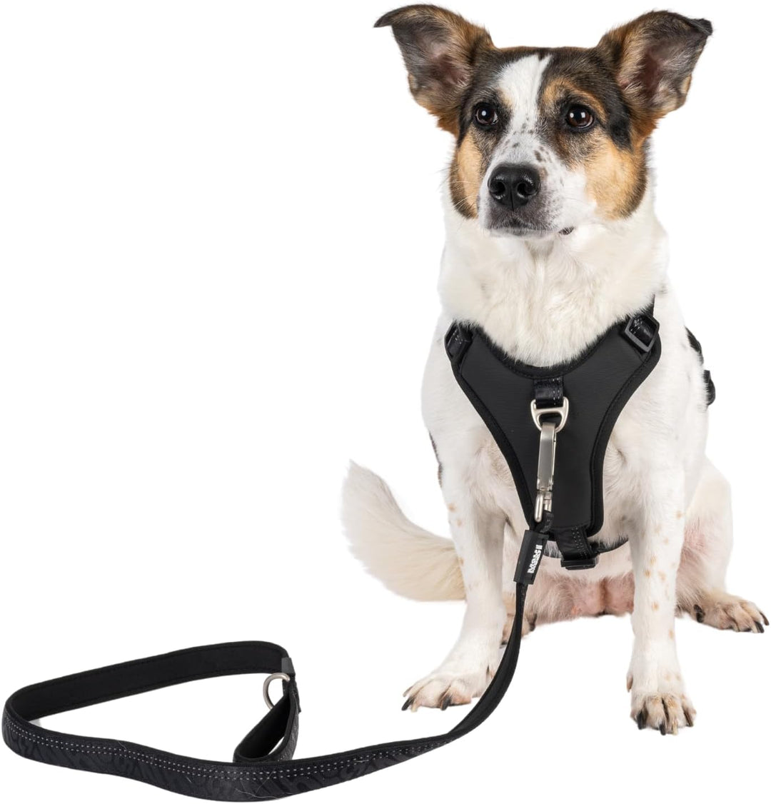 Max & Molly Sport Hundegeschirr Grosse Hunde mit Gotcha! Smart ID Sicherheitsanhänger, Matrix 2.0 Sc