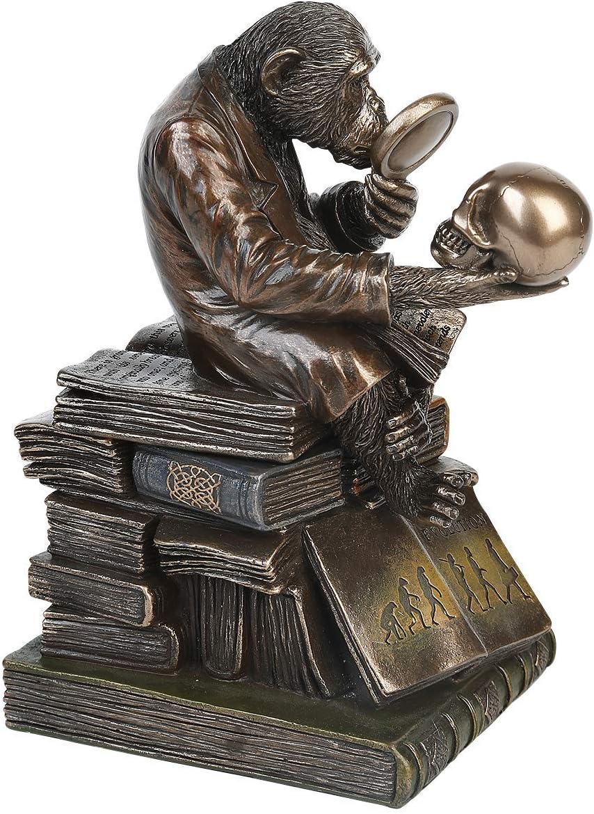 Nemesis Now Darwinism of Evolutionary Theory Box, Bronze, Harz, 17,5 cm