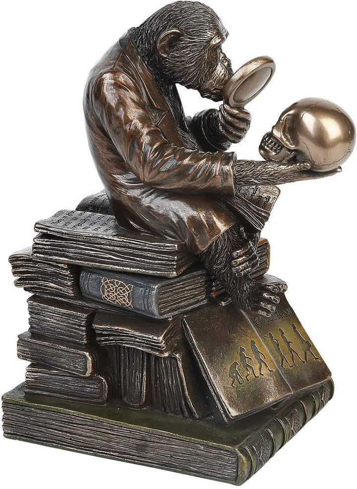 Nemesis Now Darwinism of Evolutionary Theory Box, Bronze, Harz, 17,5 cm