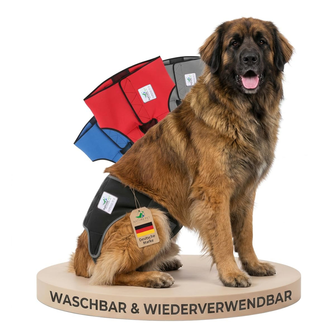 Läufigkeitshose für Hündinnen / Inkontinenzhose für Rüden / Hundeschutzhose aus hochwertigem, perfor