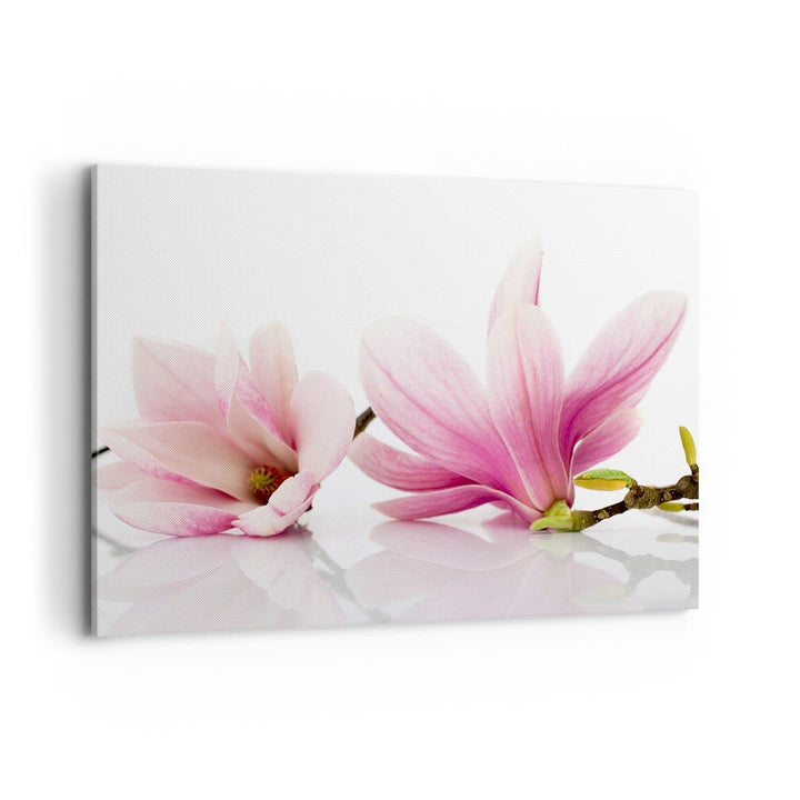 Bilder auf Leinwand 100x70cm Leinwandbild Magnolie blume natur pflanze Gross Wanddeko Bild Schlafzim