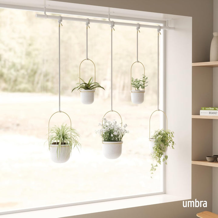 Umbra Triflora Vase, Hängeblumentopf, Wandvase, Blumenampel für Wand- und Deckenanbringung, 5er-Set,