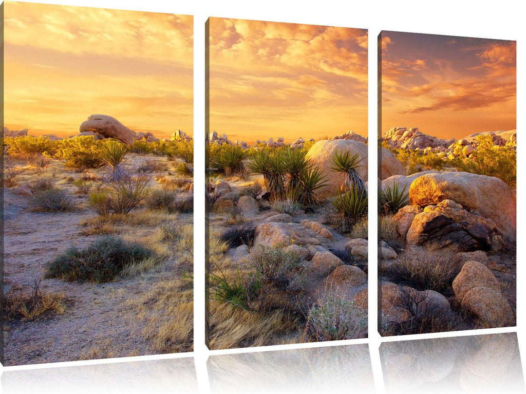 Pixxprint Joshua Wüste im Sonnenuntergang 3-Teiler Leinwandbild 120x80 Bild auf Leinwand