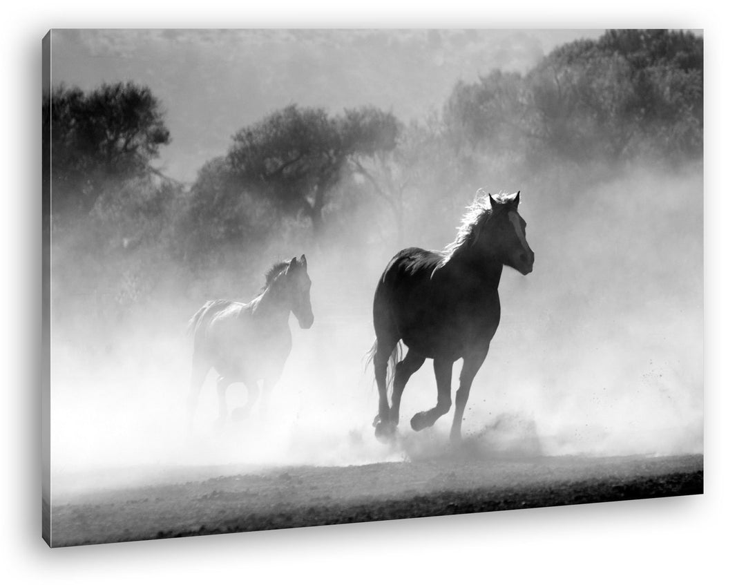 eine Pferdeherde galoppiert durch denn Nebel Format: 80x60 als Leinwandbild, Motiv fertig gerahmt au