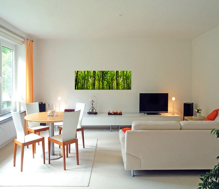 Paul Sinus Art Panoramabild auf Leinwand und Keilrahmen 150x50cm Wald Bäume Frühling Sonnenlicht