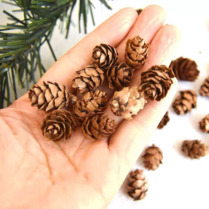 FSSTUD Tannenzapfen Mini Xmas Tannenzapfen Dekorationen 150 Stück 1-2 cm Winter Füllstoffe Ornamente