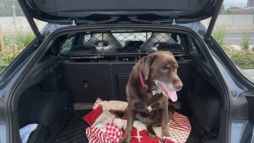 ERGOTECH Trenngitter Hundegitter für Cupra Formentor, RDA65-HXXS8 kcp001, für Hunde und Gepäck