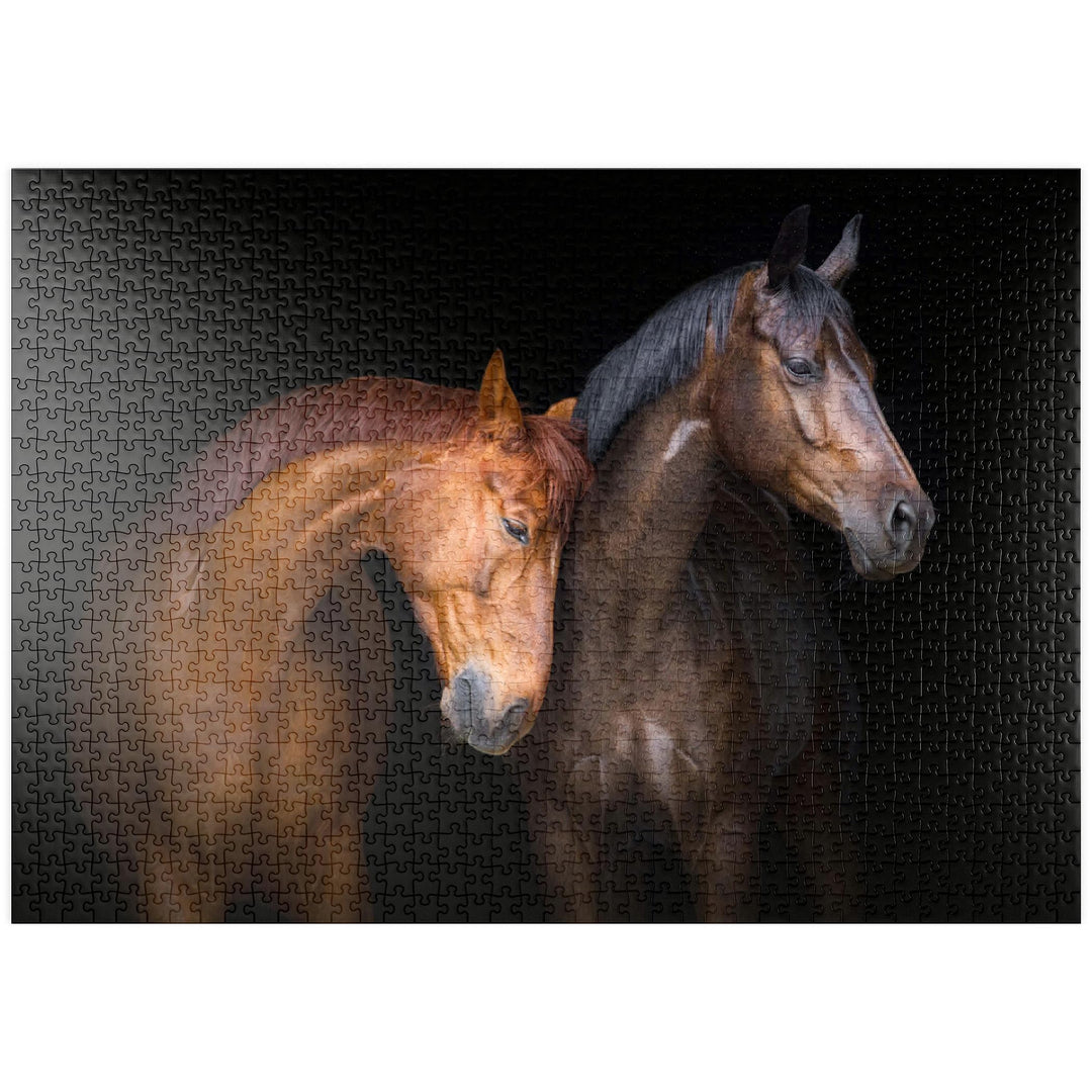 Zwei Pferde vor schwarzem Hintergrund - Premium 1000 Teile Puzzle - MyPuzzle Sonderkollektion von Pu