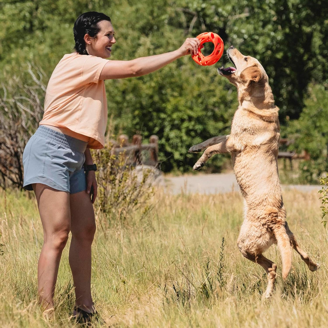 Chuckit! Breathe Right Apportierrad, Fetch Wheel Mehrfarbig Fetch Wheel, Mehrfarbig Fetch Wheel