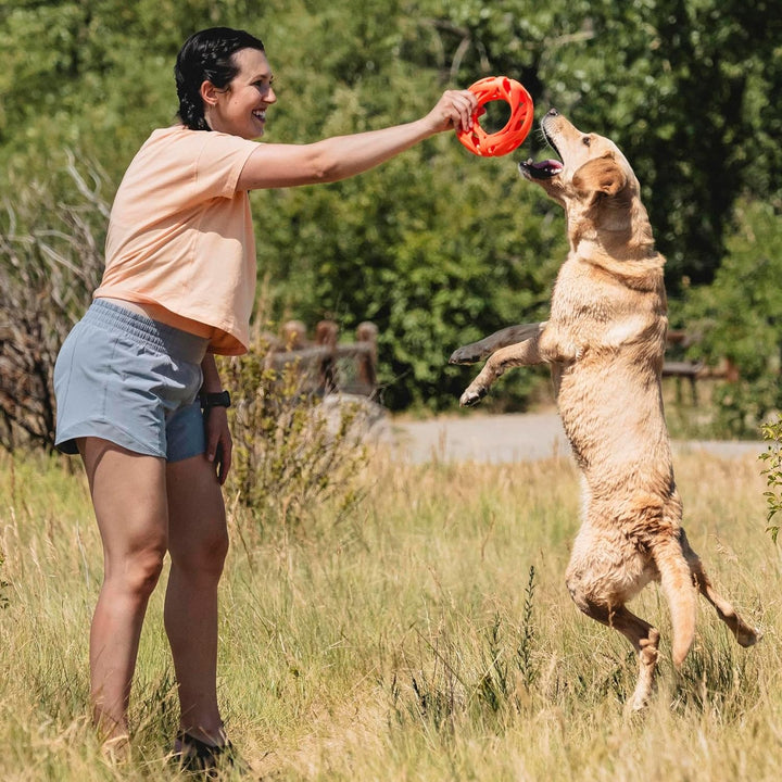 Chuckit! Breathe Right Apportierrad, Fetch Wheel Mehrfarbig Fetch Wheel, Mehrfarbig Fetch Wheel