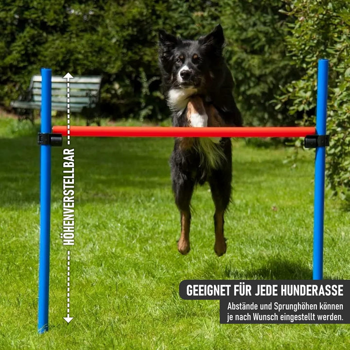 NATIV LEMODO Agility Set Hunde | Hundetraining mit Agility Hürde, Hundetunnel und Sprungring | Einfa