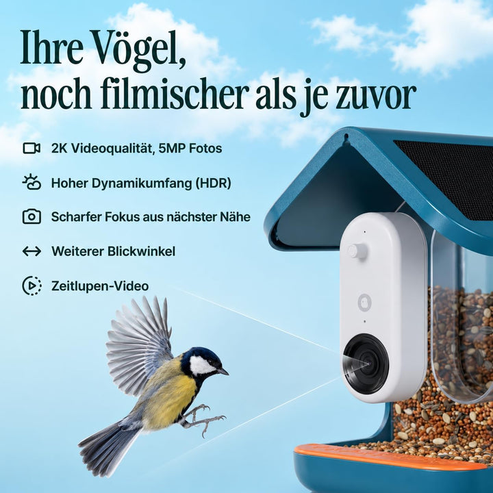 Birdbuddy PRO Solar Smart Bird Feeder mit Kamera – KI-Vogelartenidentifizierung, 5-MP-Fotos, 2K-HD-V